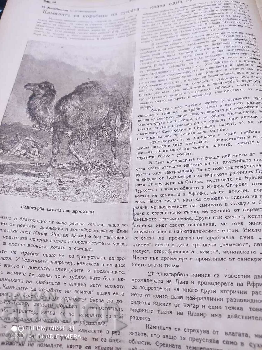 Delivery of Nature magazine from December 1947