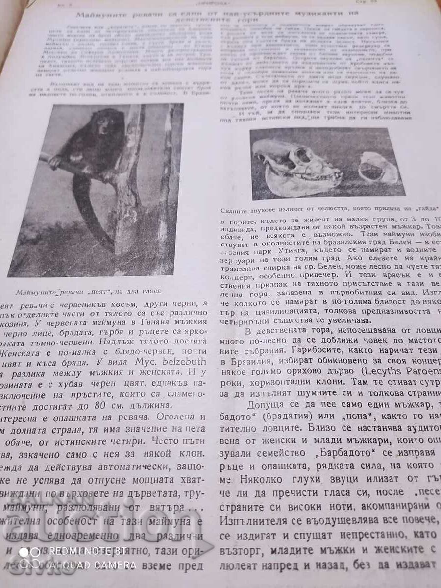 Nature magazine from May 1945 - 6 Nature magazine from May 1945 - 6