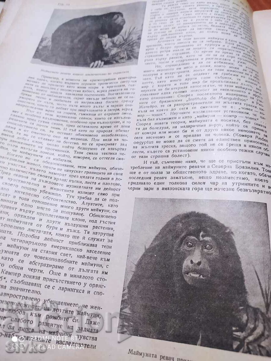 Nature magazine from May 1945 - 7 Nature magazine from May 1945 - 7