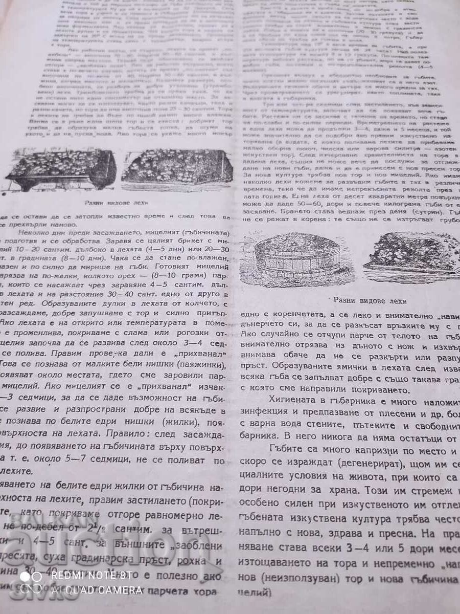 Nature magazine from March 1948 - 5 Nature magazine from March 1948 - 5