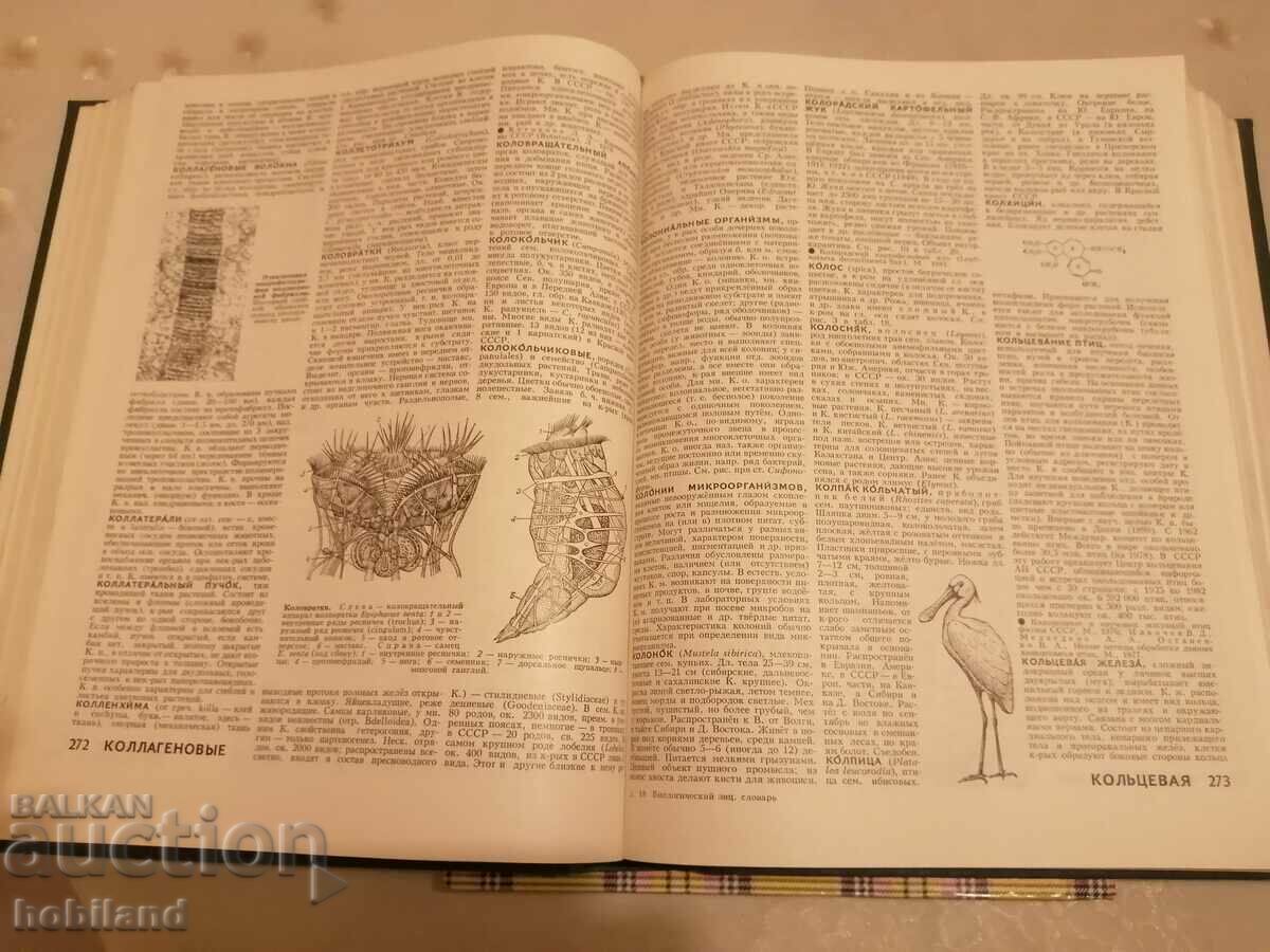 Delivery of Biological dictionary-encyclopedia Delivery of Biological dictionary-encyclopedia