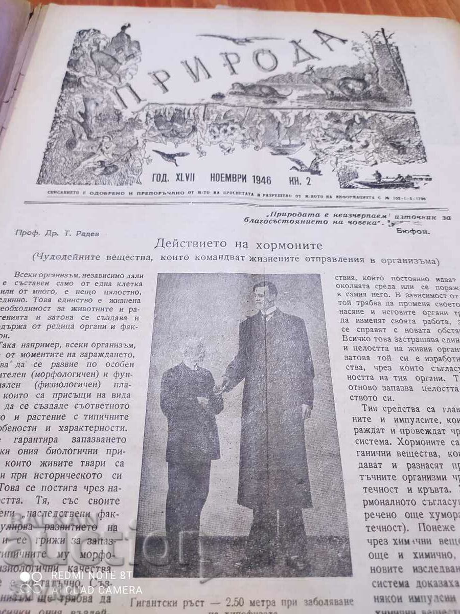 Nature magazine from November 1946 - 5 Nature magazine from November 1946 - 5