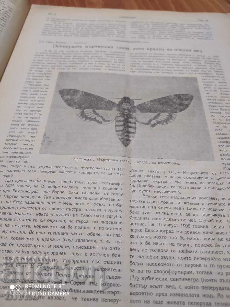 Auction  Nature magazine from November 1947