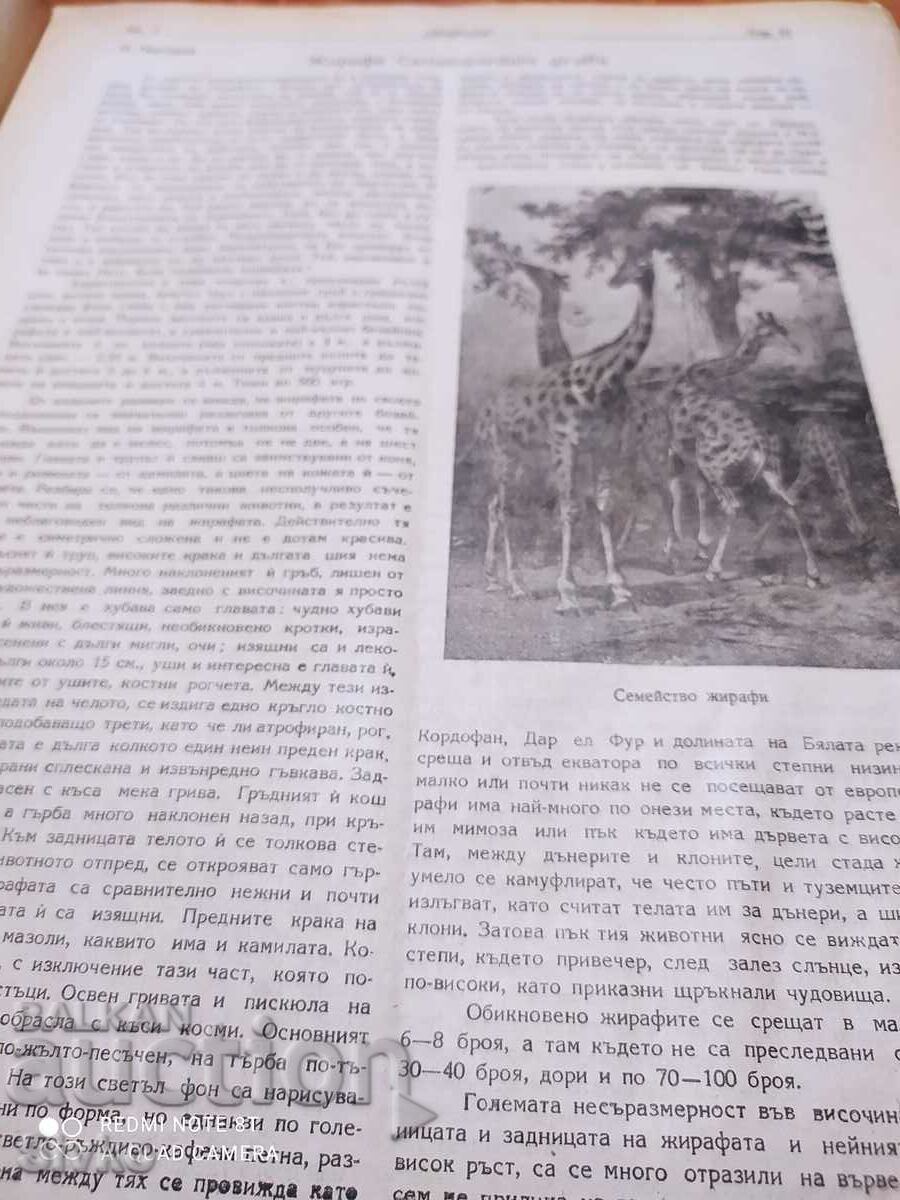 Delivery of Nature magazine from November 1947