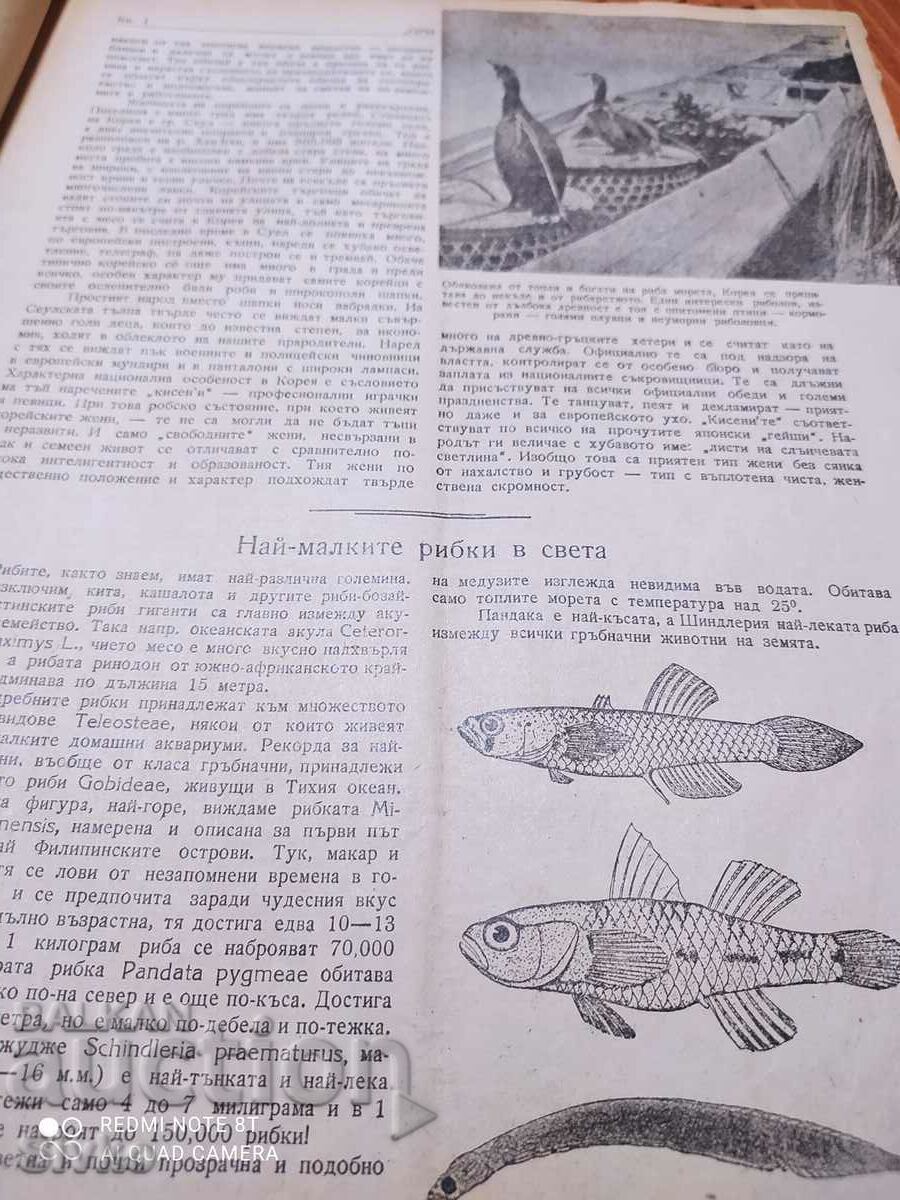 Nature magazine from October 1946 - 5 Nature magazine from October 1946 - 5