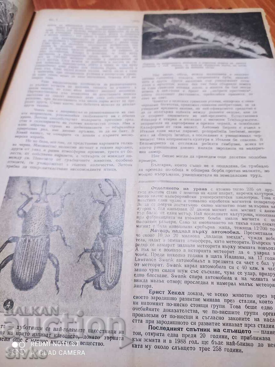 Nature magazine from October 1946 - 6 Nature magazine from October 1946 - 6