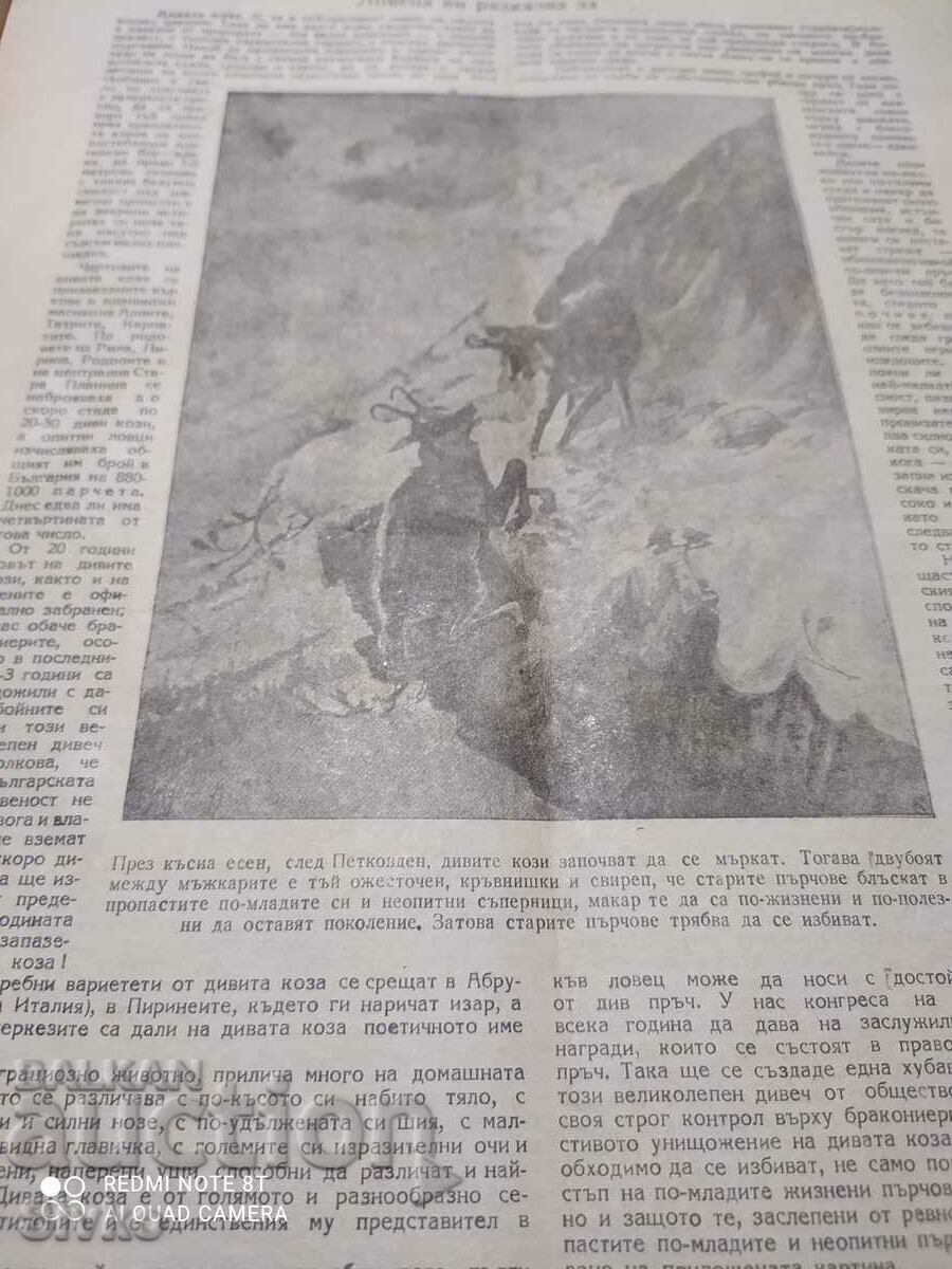 Nature magazine from February 1947 - 6 Nature magazine from February 1947 - 6