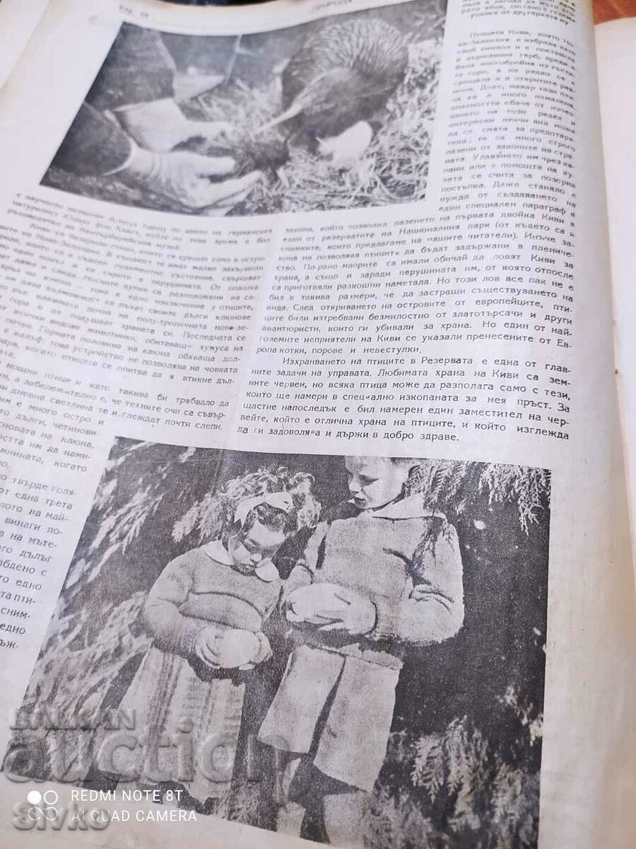 Nature magazine from February 1948 - 5