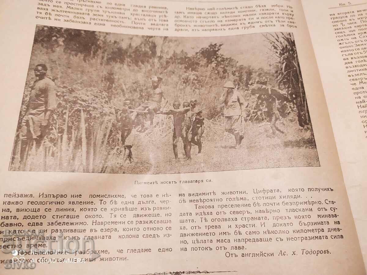 Auction  Nature magazine from February 1929