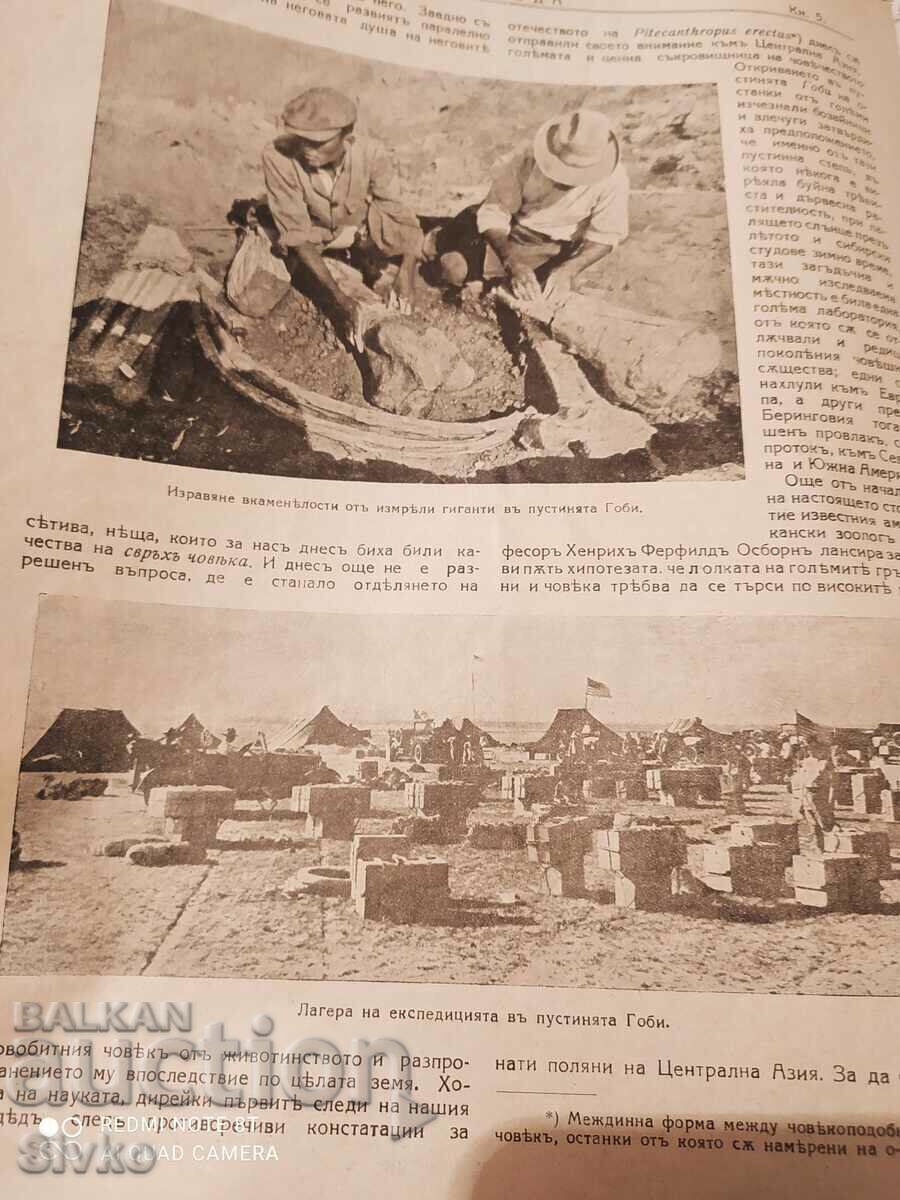 Nature magazine from February 1929 - 5