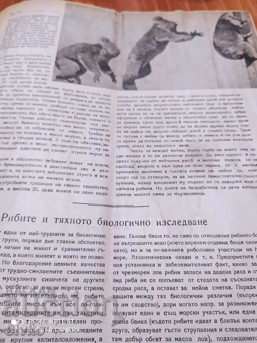 Auction Nature magazine from July 1948 Auction Nature magazine from July 1948