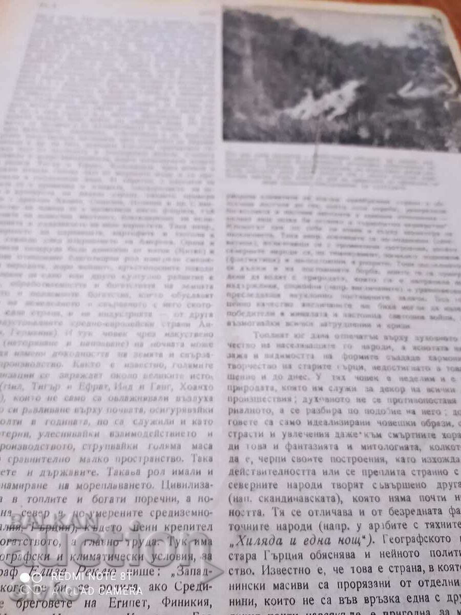 Nature magazine from June 1945 - 5 Nature magazine from June 1945 - 5