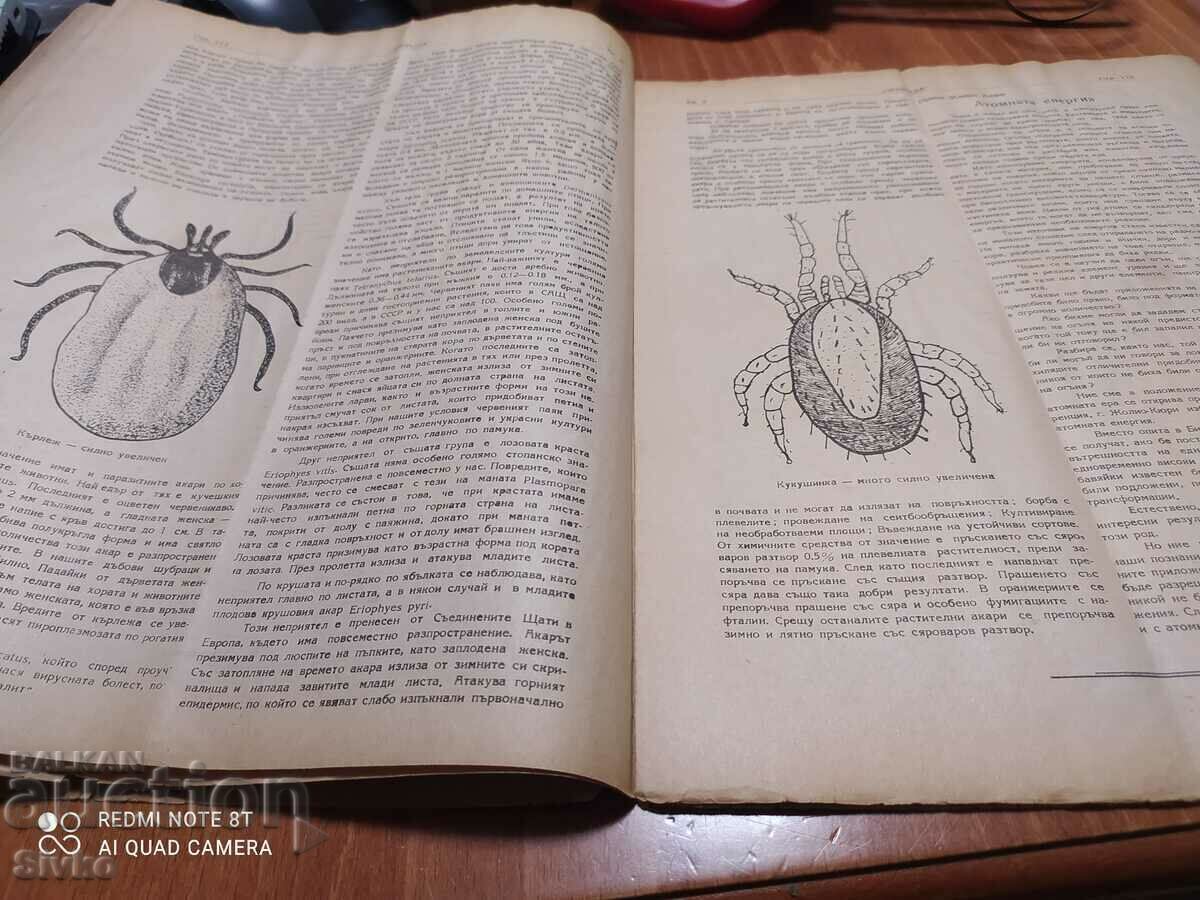 Auction Nature magazine from June 1948 Auction Nature magazine from June 1948