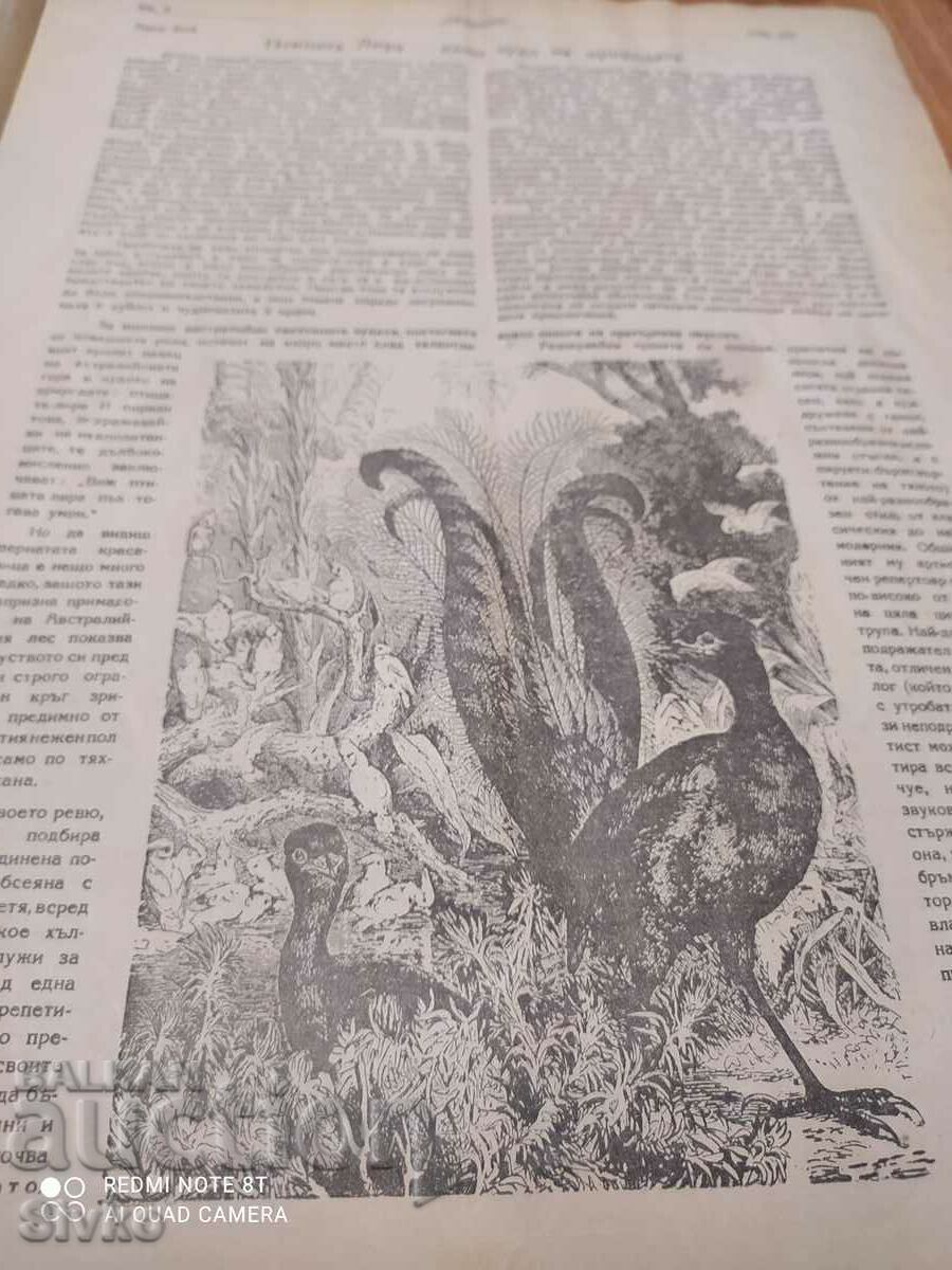 Delivery of Nature magazine from June 1948 Delivery of Nature magazine from June 1948