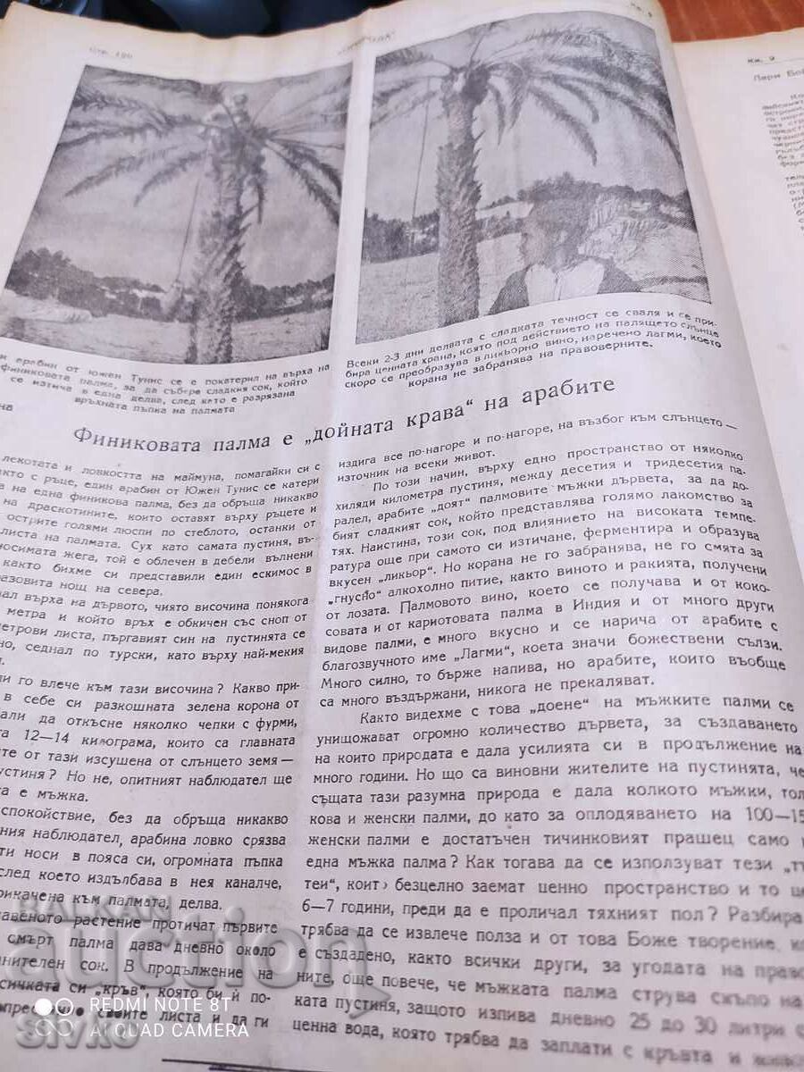 Nature magazine from June 1948 - 5 Nature magazine from June 1948 - 5