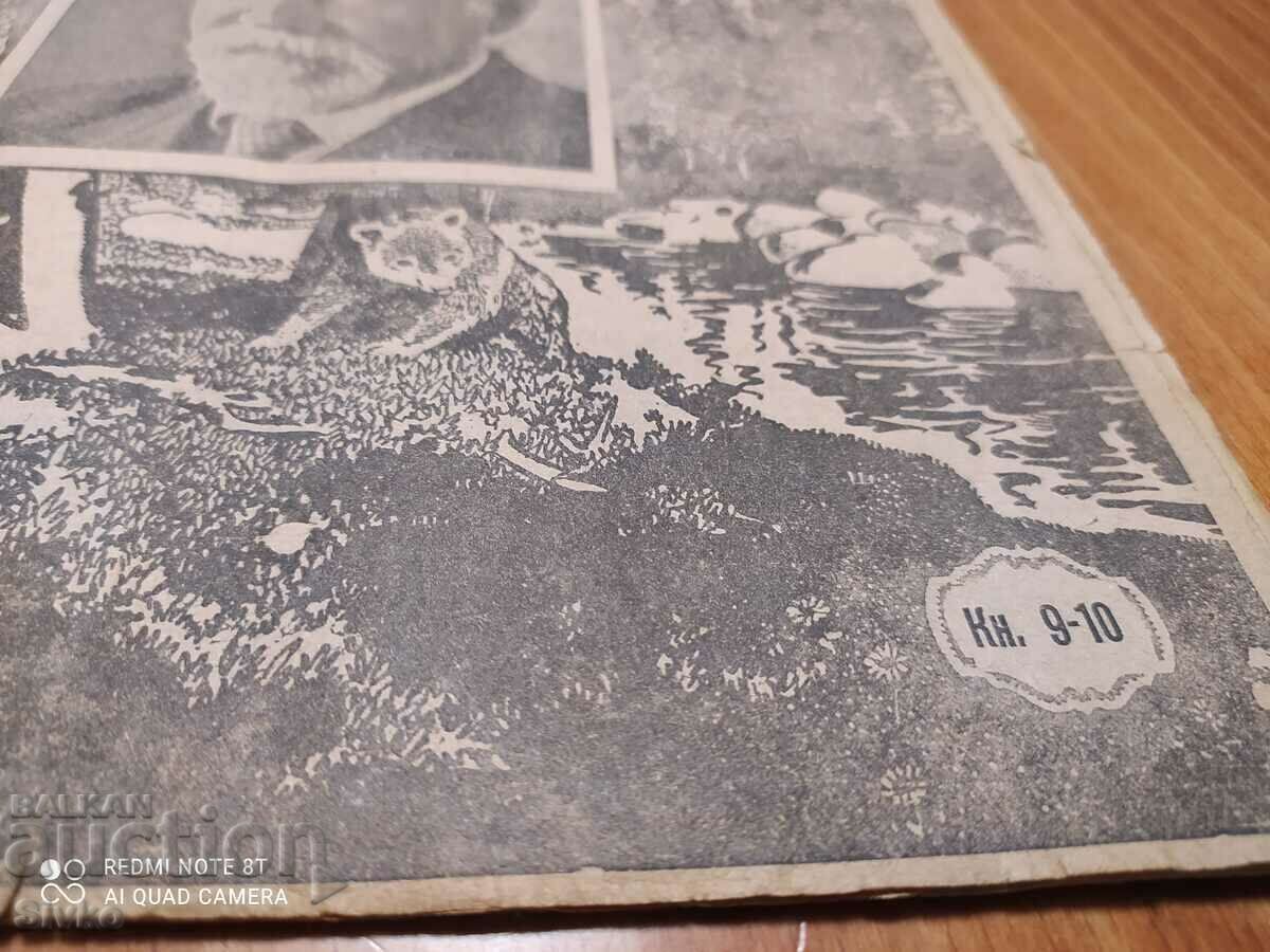 Nature magazine from June 1948 - 7 Nature magazine from June 1948 - 7