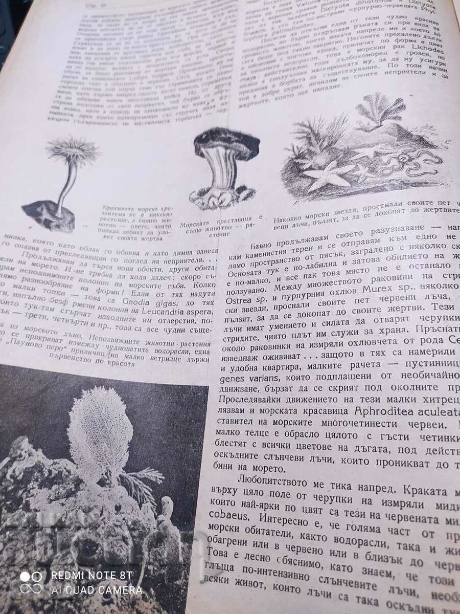 Nature magazine from January 1946 - 5 Nature magazine from January 1946 - 5