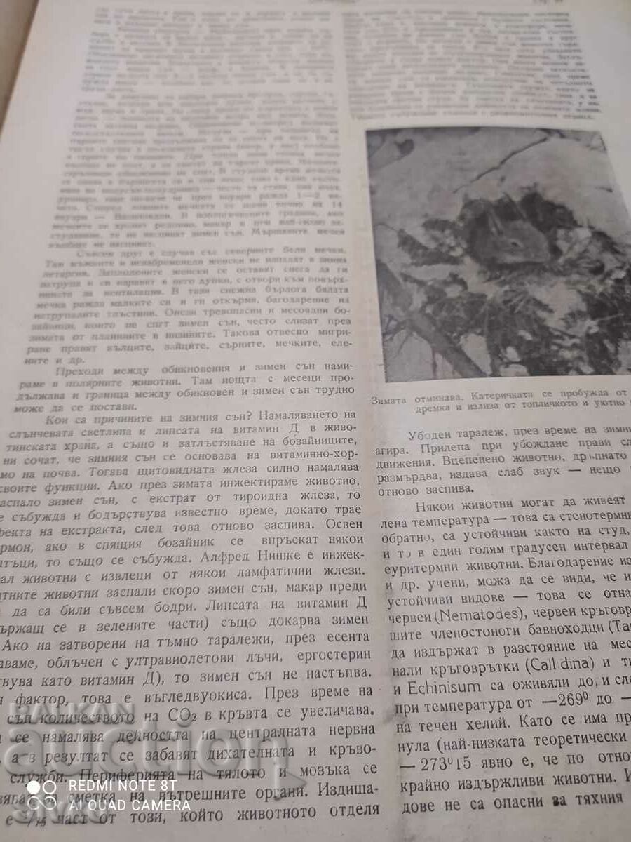 Nature magazine from January 1946 - 6 Nature magazine from January 1946 - 6