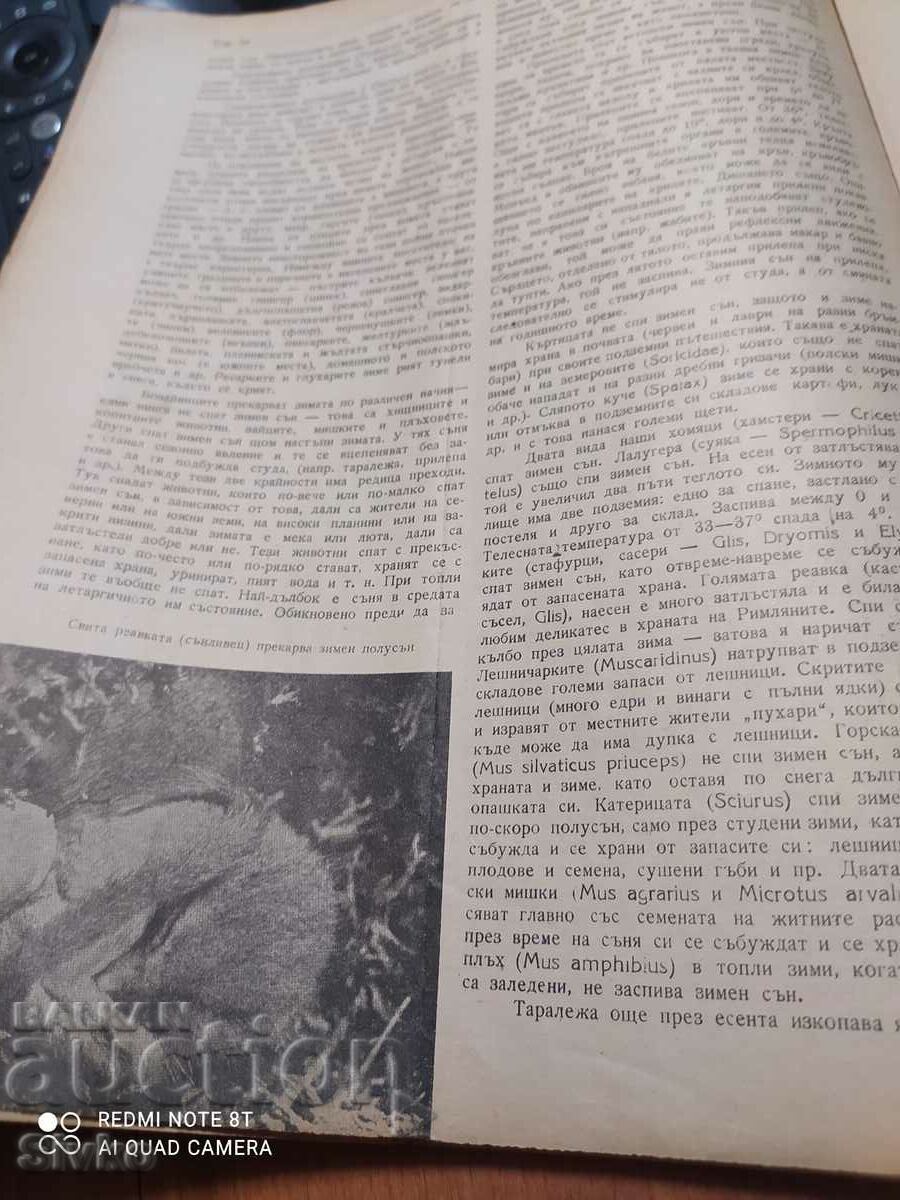 Nature magazine from January 1946 - 7 Nature magazine from January 1946 - 7