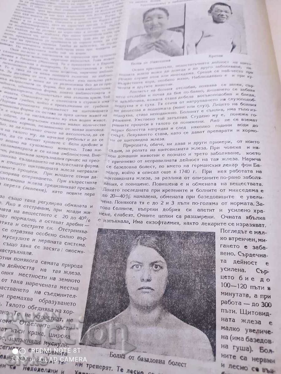 Nature magazine from January 1948 - 5 Nature magazine from January 1948 - 5