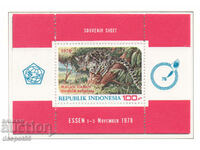 1978. Ινδονησία. Άγρια φύση. ΟΙΚΟΔΟΜΙΚΟ ΤΕΤΡΑΓΩΝΟ.