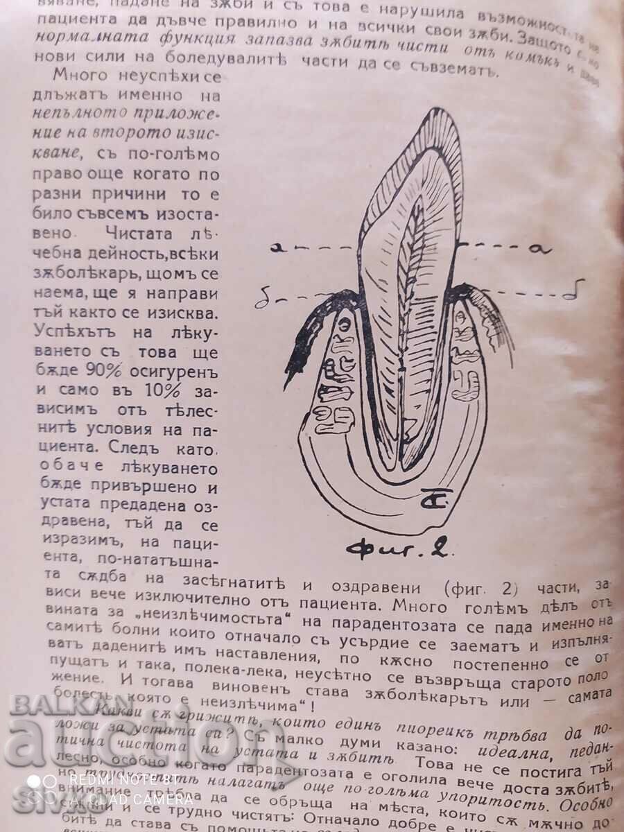 Auction The Man Magazine, Book 1, Year V, 1935-36 Auction The Man Magazine, Book 1, Year V, 1935-36
