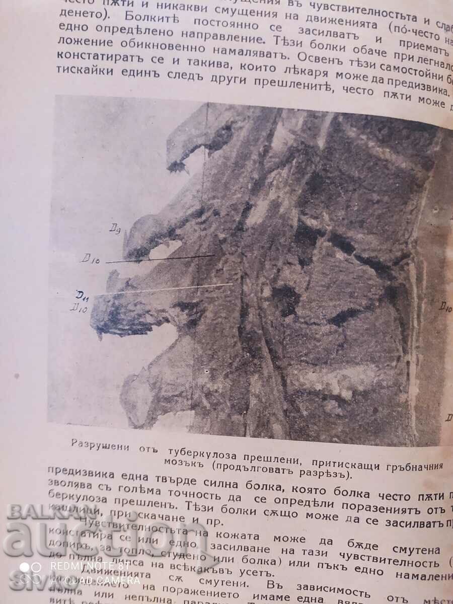 The Man Magazine, Book 1, Year V, 1935-36 - 5 The Man Magazine, Book 1, Year V, 1935-36 - 5