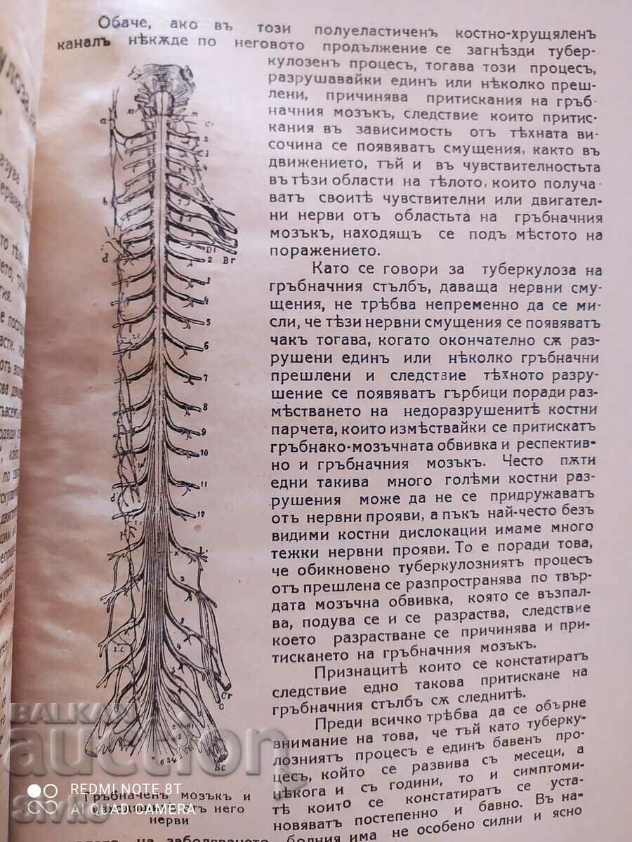 The Man Magazine, Book 1, Year V, 1935-36 - 6 The Man Magazine, Book 1, Year V, 1935-36 - 6