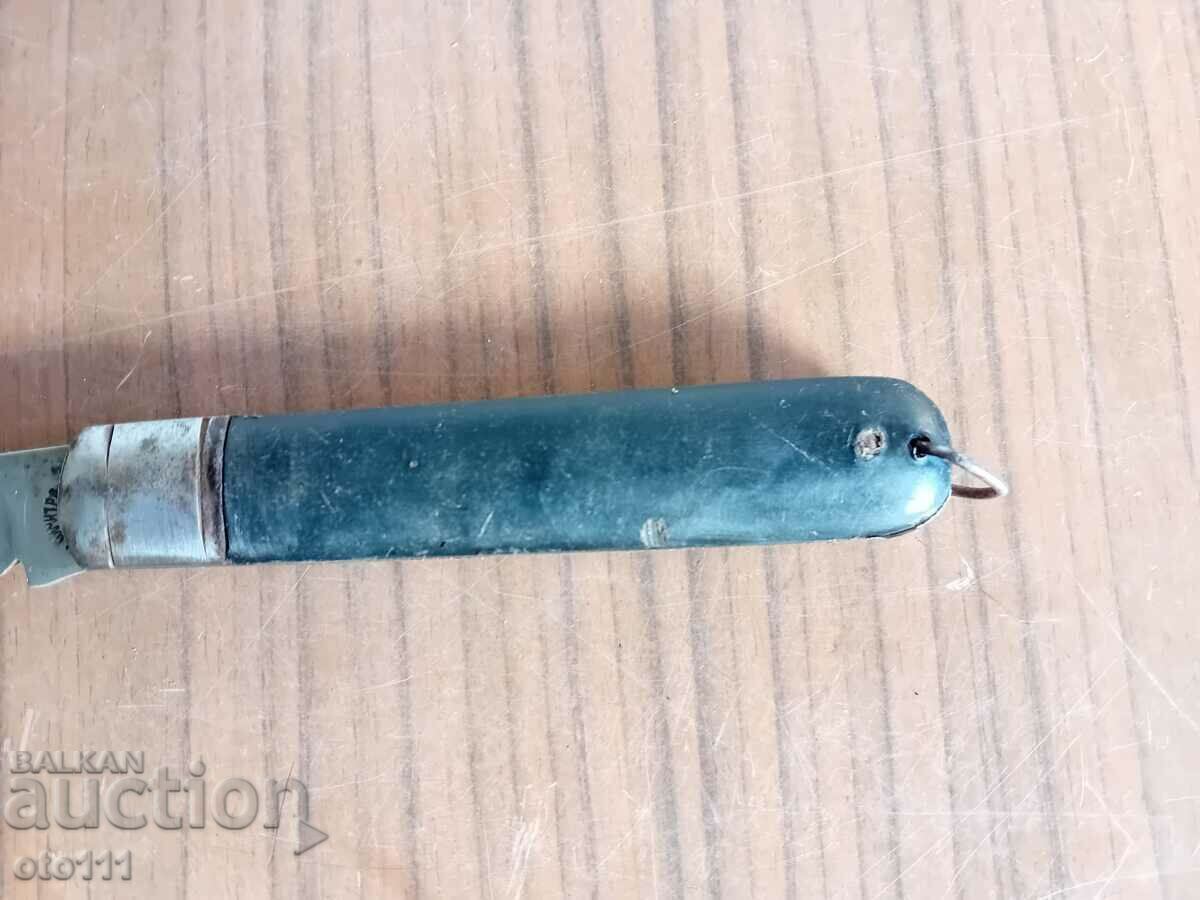 Licitație CUIT DE BUZUUNAR VECHI ROSE