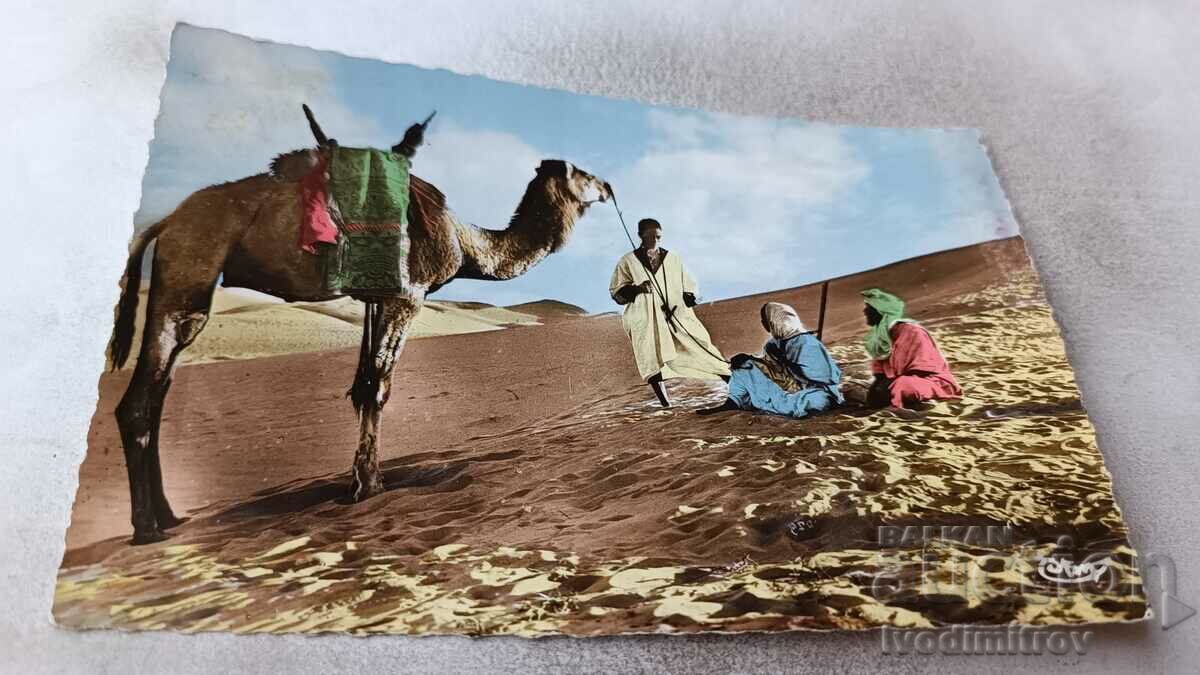 Postcard Le Desert La Halte