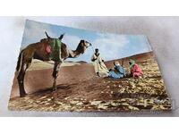 Пощенска картичка Le Desert La Halte