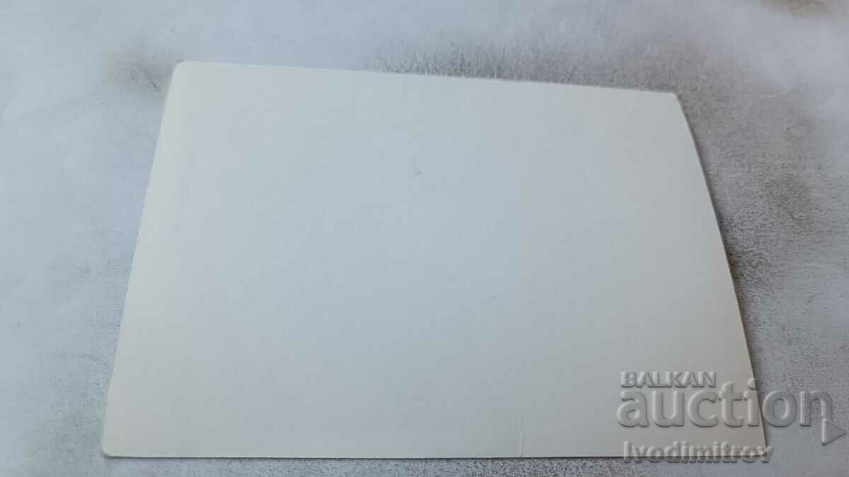 Photo Two young men in swimsuits in a wooden boat with price 1.75 BGN | € 0.89 Photo Two young men in swimsuits in a wooden boat with price 1.75 BGN | € 0.89