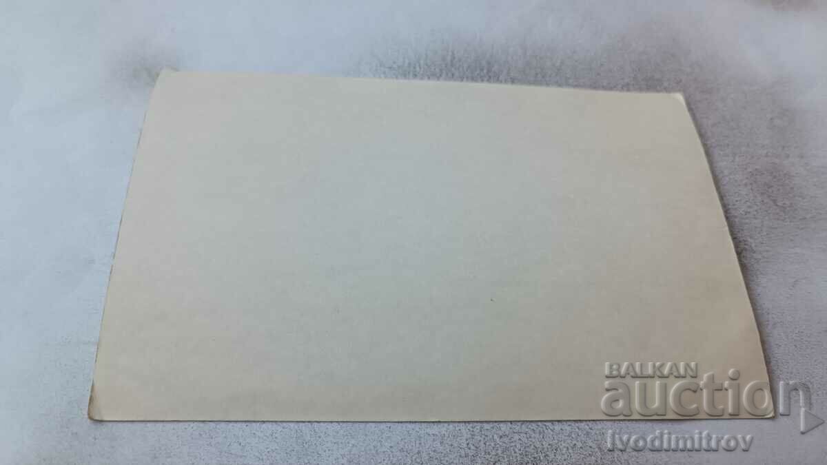 Photo Boy on a donkey on the beach with price 1.65 BGN | € 0.84 Photo Boy on a donkey on the beach with price 1.65 BGN | € 0.84