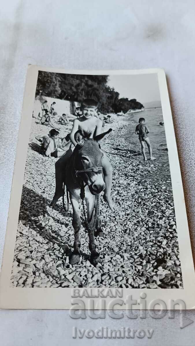 Foto Băiat pe un măgar pe plajă
