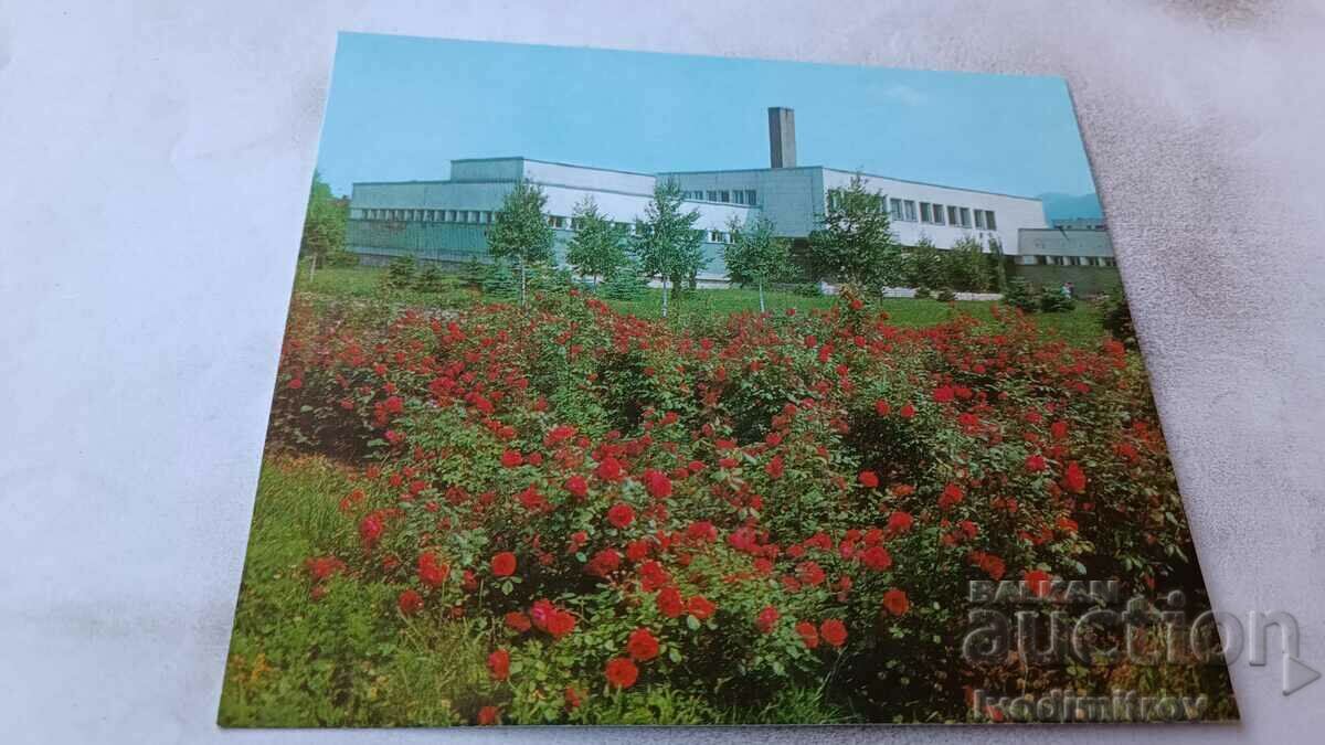 Postcard Berkovitsa Balneolechebnitsa 1977