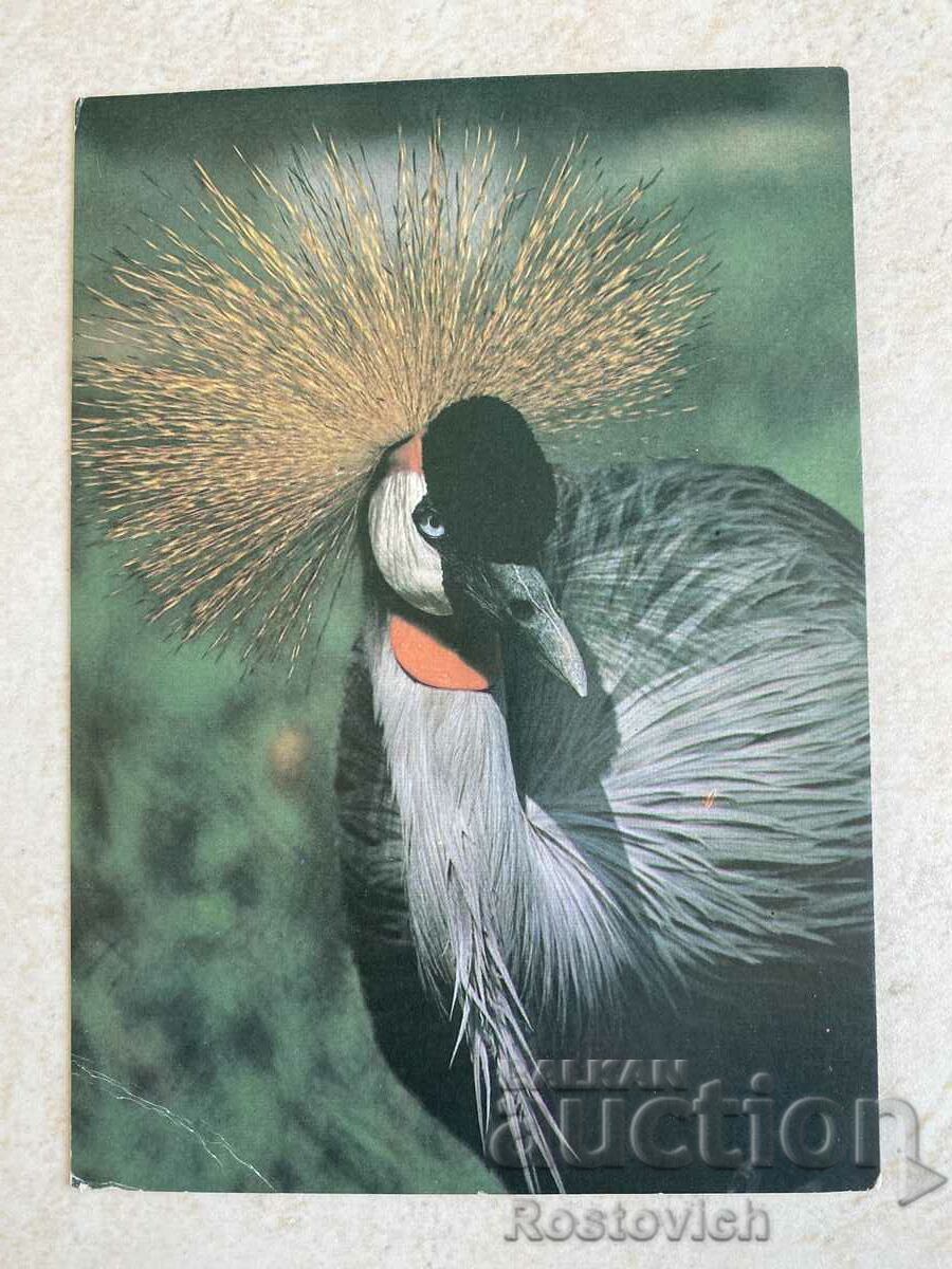 Card USSR "Crowned Crane" 1990