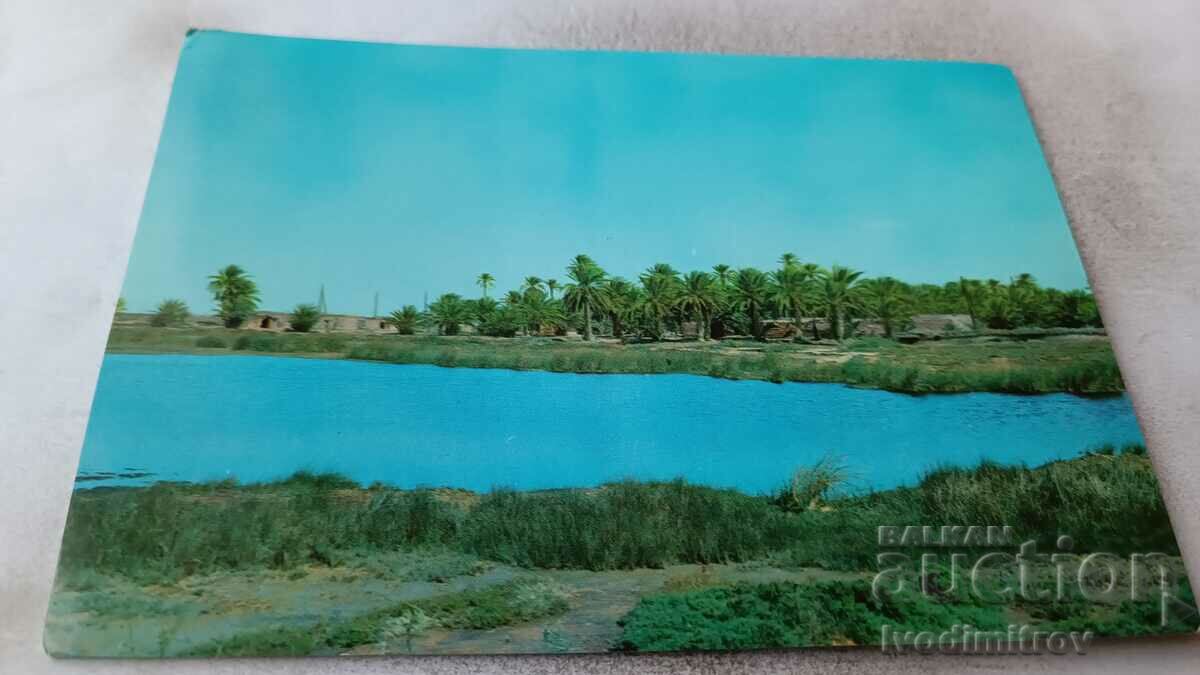 Postcard Tauorga View of the Lakes