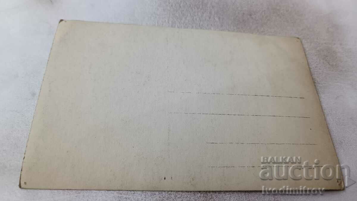 Η κυρία αξιωματικός με ένα κουτάβι και νεαρές γυναίκες σε μια γέφυρα σημύδας το χειμώνα με τιμή 2.85 BGN | € 1.46