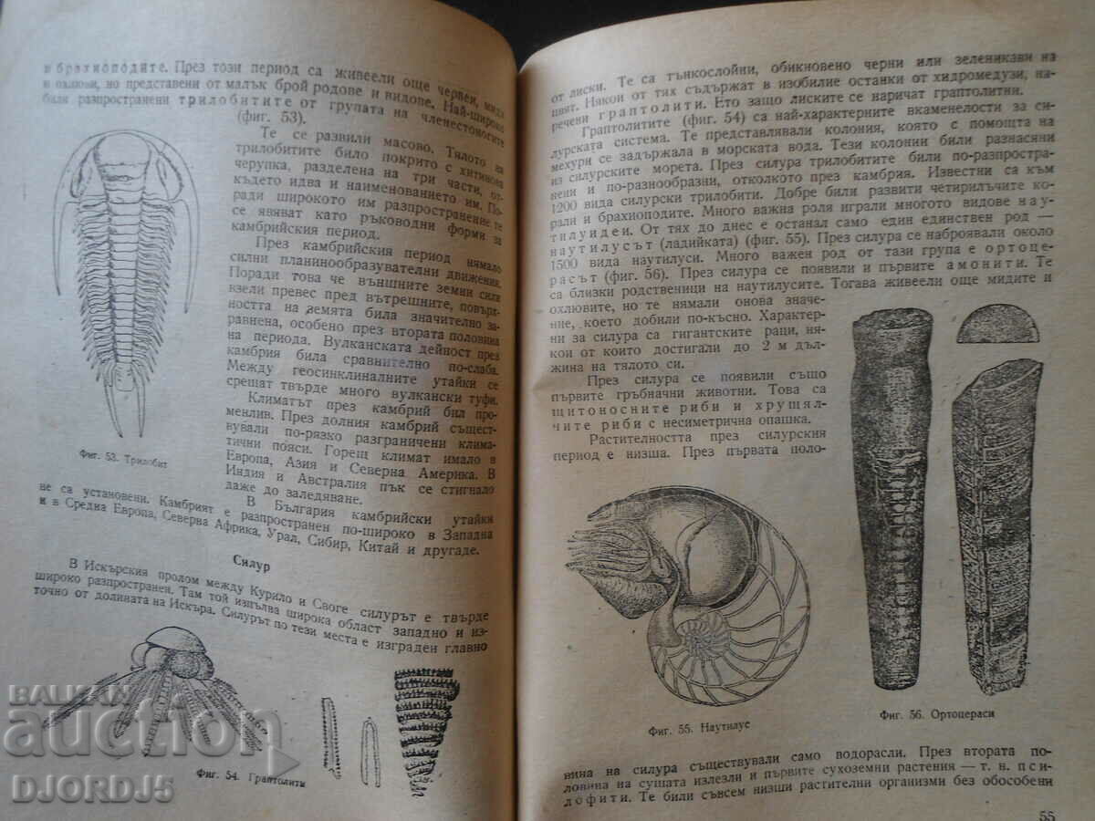 GEOLOGY for class 10, 1962. - 5 GEOLOGY for class 10, 1962. - 5
