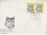 Mailing envelope cats