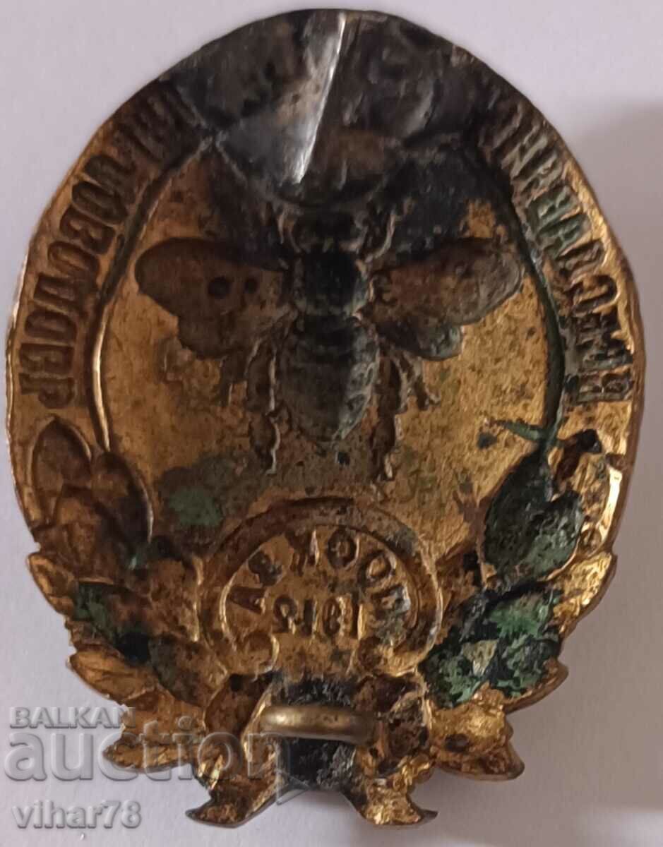 An extremely rare badge - 6