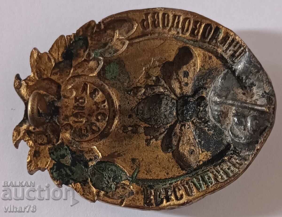 An extremely rare badge - 7