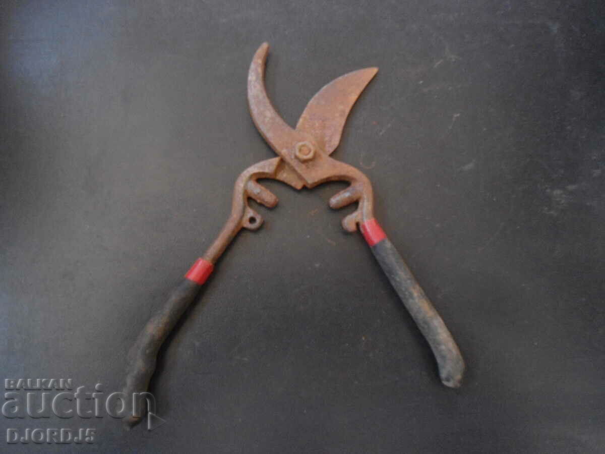 Auction Old vine shears Auction Old vine shears