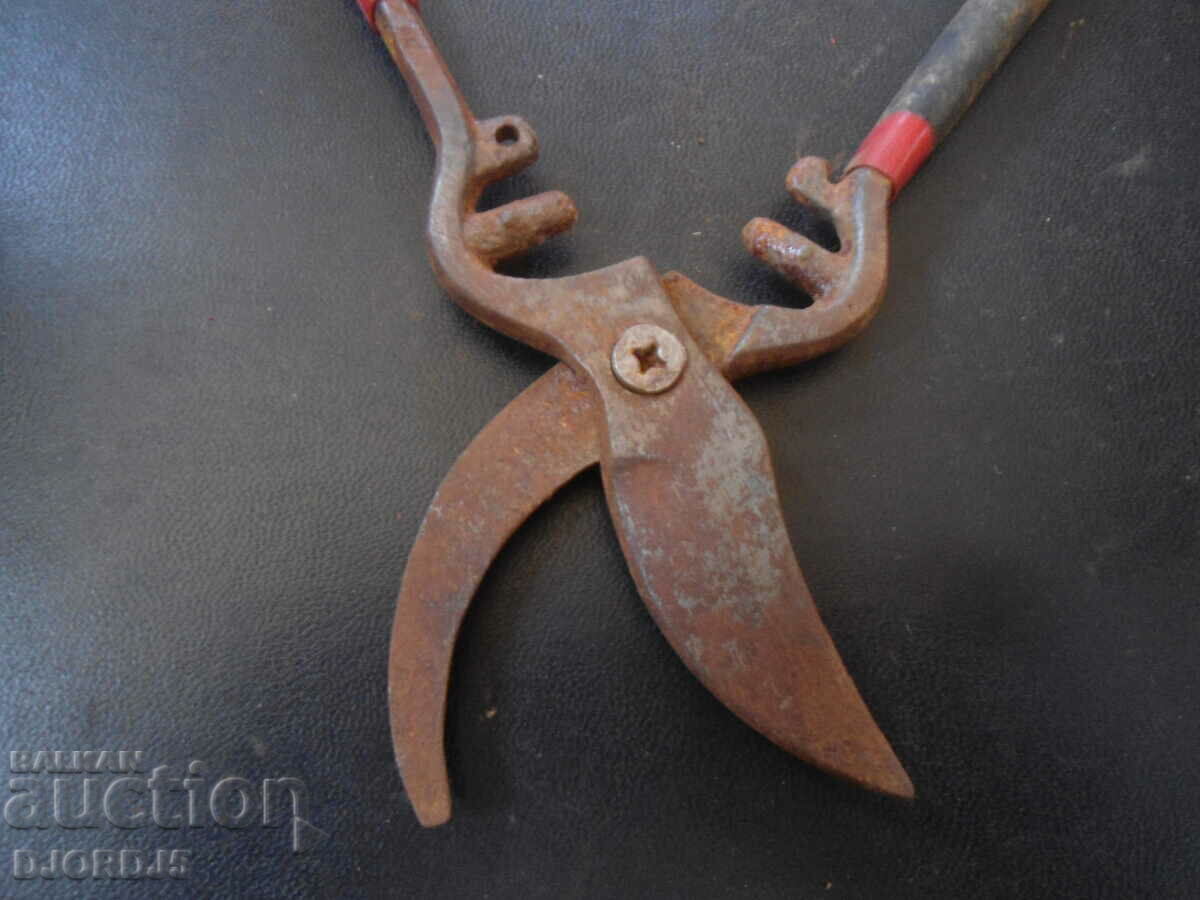 Delivery of Old vine shears Delivery of Old vine shears