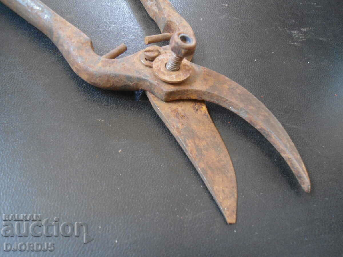 Auction Old vine shears Auction Old vine shears