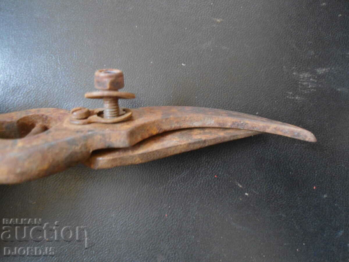 Delivery of Old vine shears Delivery of Old vine shears