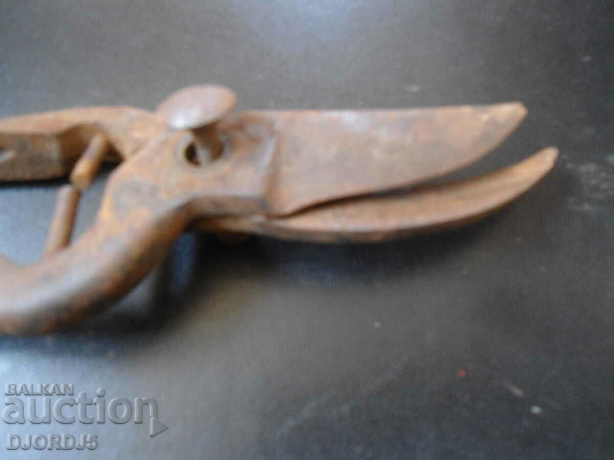 Old vine shears - 5 Old vine shears - 5