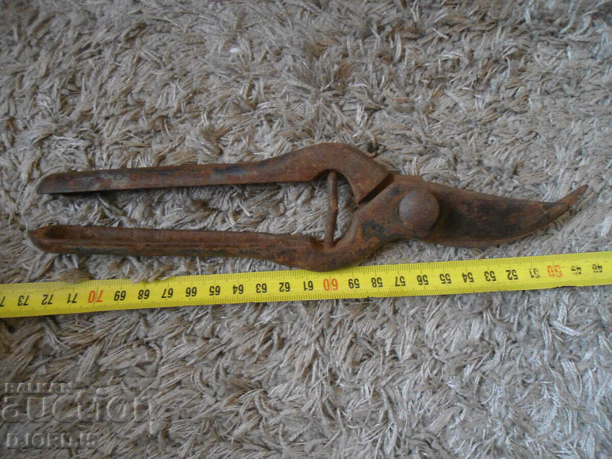 Old vine shears - 6 Old vine shears - 6