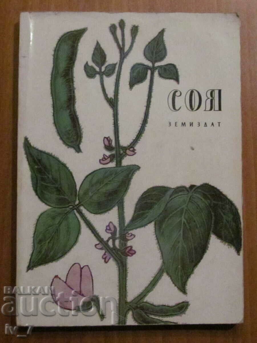 SOYA - AUTHOR'S COLLECTIVE