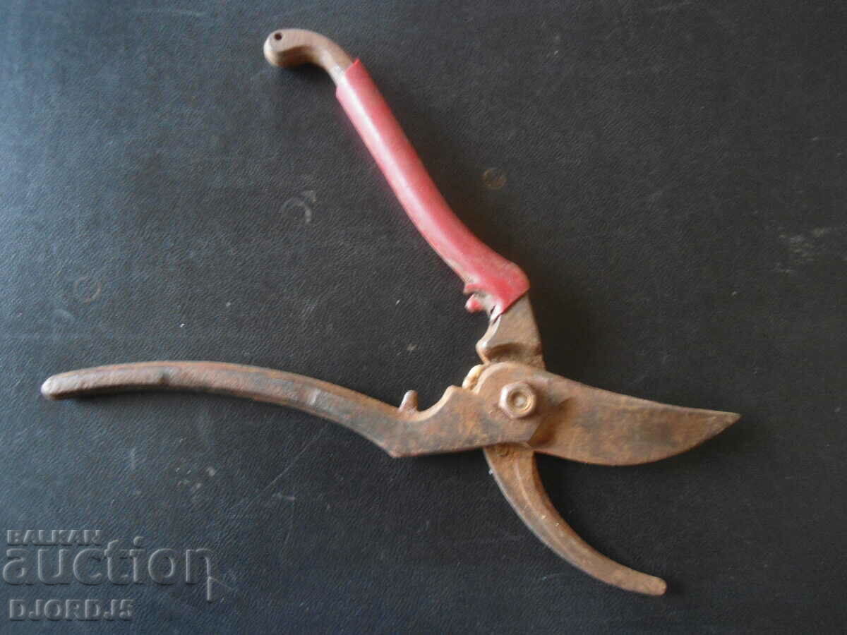 Auction Old vine shears Auction Old vine shears